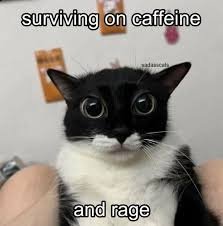 download 19 Tuesday Work Memes
