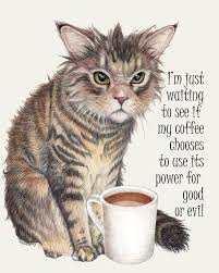 Funny Monday Memes