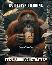 hilarious thursday memes