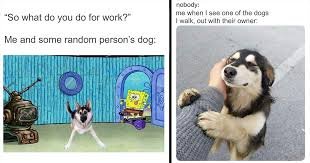 download 2 Dog Memes