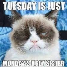 Tuesday Work Memes