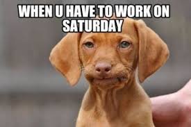 download 2 Weekend Memes
