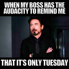 Happy Tuesday Memes