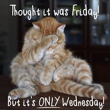 download 2 Happy Wednesday Memes
