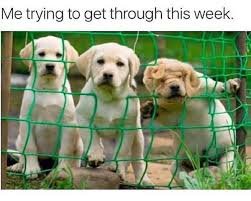 download 2 Thursday Work Memes