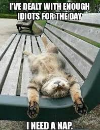 download 2 Funny Life Memes