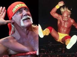 download 2 hulk hogan memes