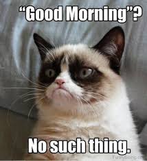 Hilarious Good Morning Memes