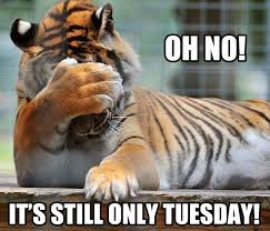 Happy Tuesday Memes