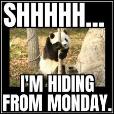 funny monday memes