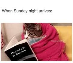 Sunday Memes