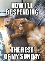 Funny Sunday Memes