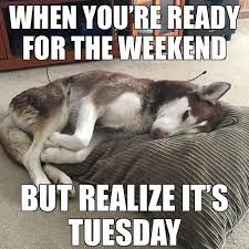 monday memes for work