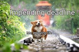 funny sunday memes