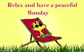 Sunday Memes