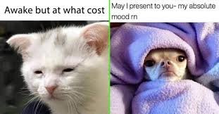 Happy Tuesday Memes
