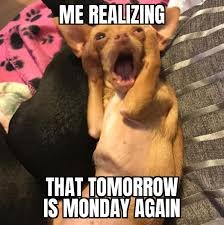 funny Monday Memes