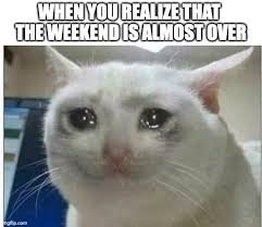 download 3 Funny Life Memes
