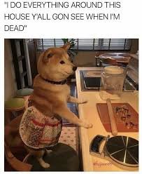 happy tuesday memes