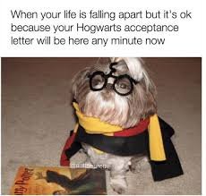 download 31 Saturday Memes