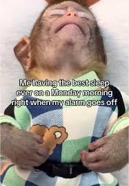 download 34 happy monday memes