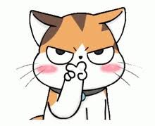 download 35 funny cat memes