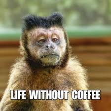 download 36 Funny Memes