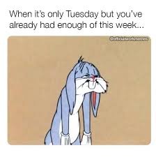Happy Tuesday Memes
