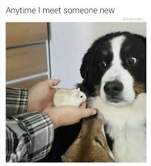 download 38 Funny Memes