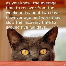 Weekend Memes