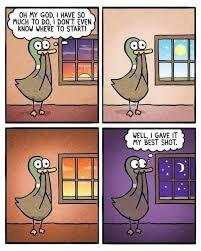 Tuesday Memes