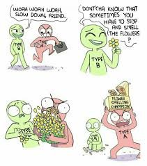 Sunday Memes