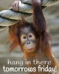 download 40 Happy Thursday Memes