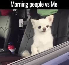 download 41 Good Morning Memes
