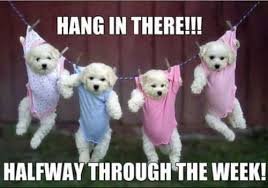 download 43 happy wednesday memes