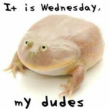 download 45 Happy Wednesday Memes