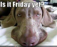 download 45 Thursday Work Memes