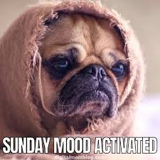download 5 Happy Sunday Memes