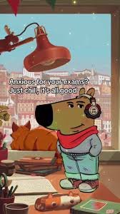 download 5 chill guy memes