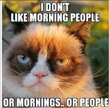 Hilarious Good Morning Memes