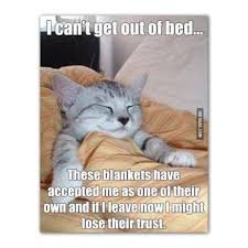 download Happy Saturday Memes