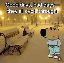 download 7 chill guy memes