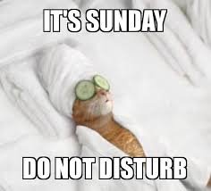 Sunday Memes