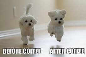 download Funny Memes