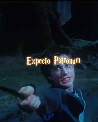 download Harry Potter Memes