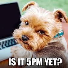 download Friday Memes