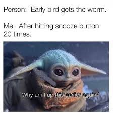 download Saturday Memes