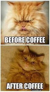 download happy monday memes
