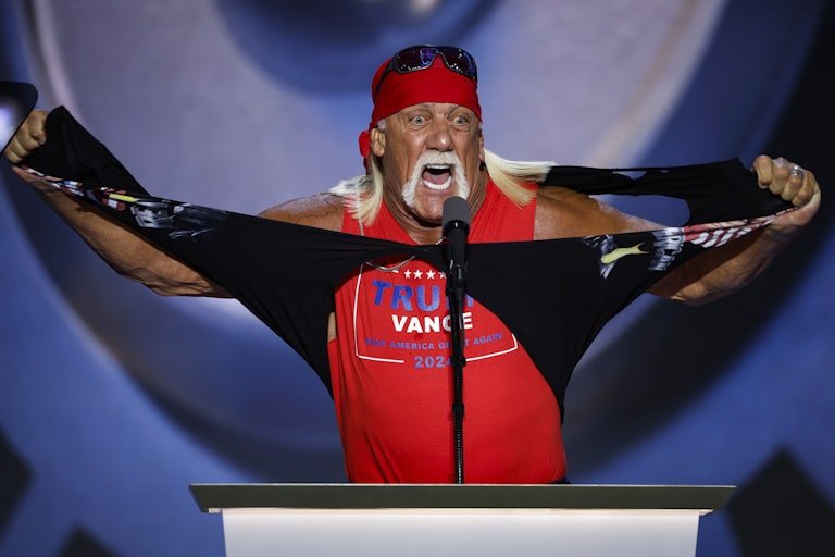 ef34c91e4d67f8b06c25080739e6f48accad479c 1 hulk hogan memes