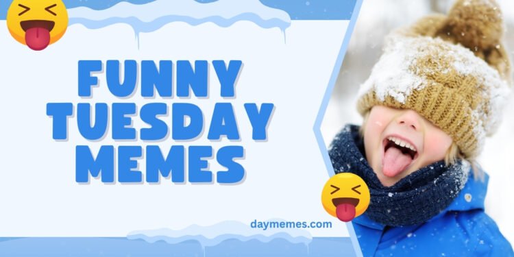 funny tuesday memes